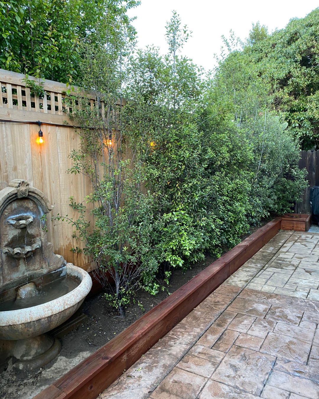 genuine-kitchen-bath-san carlos-contractor-home addition-construction (2)